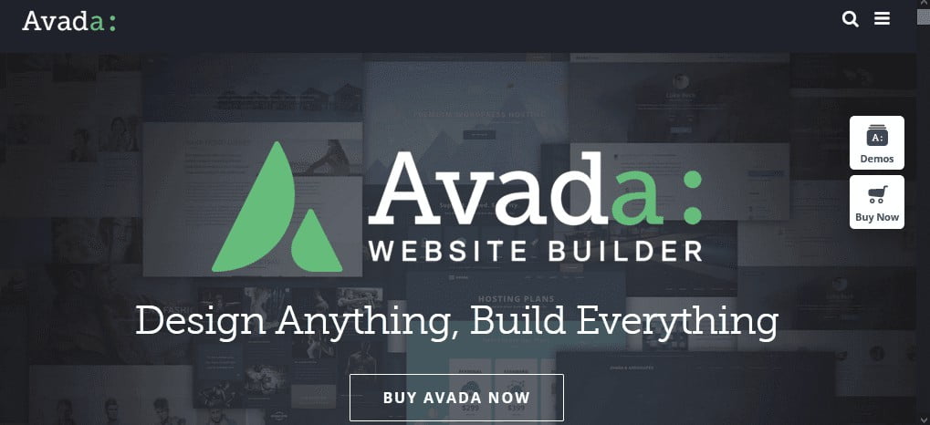 Top 40 best Professional and Premium WordPress Themes